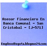 Asesor Financiero En Banca Comunal – San Cristobal – [J-571]