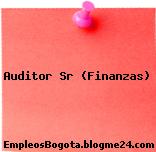 Auditor Sr (Finanzas)