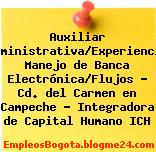 Auxiliar Administrativa/Experiencia Manejo de Banca Electrónica/Flujos – Cd. del Carmen en Campeche – Integradora de Capital Humano ICH