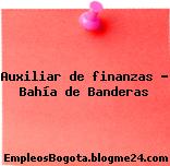 Auxiliar de finanzas Bahía de Banderas