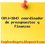 (AYJ-384) coordinador de presupuestos y finanzas