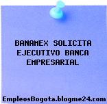 BANAMEX SOLICITA EJECUTIVO BANCA EMPRESARIAL
