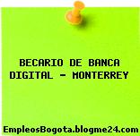 BECARIO DE BANCA DIGITAL MONTERREY