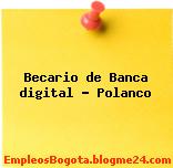 Becario de Banca digital – Polanco