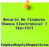Becario De Finanzas (Banca Electronica) | [KG-737]