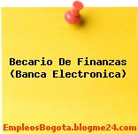 Becario De Finanzas (Banca Electronica)