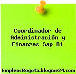 Coordinador de Administración y Finanzas Sap B1