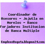 Coordinador de Asesores – Jojutla en Morelos – Banco Forjadores Institucion de Banca Multiple