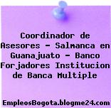 Coordinador de Asesores – Salmanca en Guanajuato – Banco Forjadores Institucion de Banca Multiple