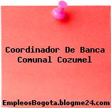 Coordinador De Banca Comunal Cozumel