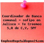 Coordinador de Banca comunal – sofipo en Jalisco – Te Creemos S.A de C.V, SPF