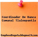 Coordinador De Banca Comunal Tlalnepantla