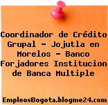 Coordinador de Crédito Grupal – Jojutla en Morelos – Banco Forjadores Institucion de Banca Multiple