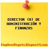 DIRECTOR (A) DE ADMINISTRACIÓN Y FINANZAS
