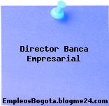 Director Banca Empresarial