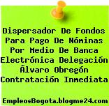 Dispersador De Fondos Para Pago De Nóminas Por Medio De Banca Electrónica Delegación Álvaro Obregón Contratación Inmediata