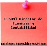 E-509] Director de Finanzas y Contabilidad