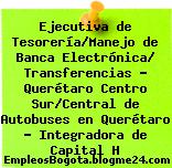 Ejecutiva de Tesorería/Manejo de Banca Electrónica/ Transferencias – Querétaro Centro Sur/Central de Autobuses en Querétaro – Integradora de Capital H