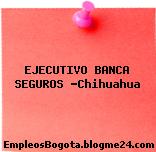 EJECUTIVO BANCA SEGUROS -Chihuahua