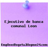 Ejecutivo de banca comunal Leon