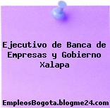 Ejecutivo de Banca de Empresas y Gobierno Xalapa