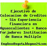 Ejecutivo de Colocacion de Creditos – Sin Experiencia financiera en Aguascalientes – Banco Forjadores Institucion de Banca Multiple