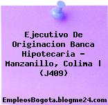 Ejecutivo De Originacion Banca Hipotecaria – Manzanillo, Colima | (J409)