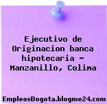 Ejecutivo de Originacion banca hipotecaria – Manzanillo, Colima