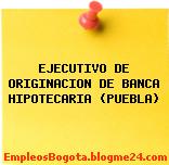 EJECUTIVO DE ORIGINACION DE BANCA HIPOTECARIA (PUEBLA)