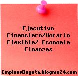 Ejecutivo Financiero/Horario Flexible/ Economia Finanzas