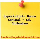 Especialista Banca Comunal – Cd. Chihuahua