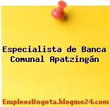 Especialista de Banca Comunal Apatzingán