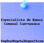 Especialista de Banca Comunal Cuernavaca