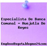 Especialista De Banca Comunal – Huejutla De Reyes