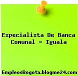 Especialista De Banca Comunal – Iguala