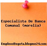 Especialista De Banca Comunal (morelia)