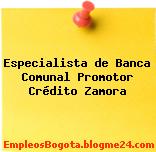 Especialista de Banca Comunal Promotor Crédito Zamora