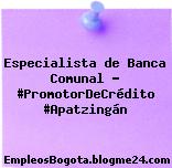 Especialista de Banca Comunal – #PromotorDeCrédito #Apatzingán