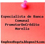 Especialista de Banca Comunal PromotorDeCrédito Morelia