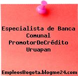 Especialista de Banca Comunal PromotorDeCrédito Uruapan