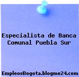 Especialista de Banca Comunal Puebla Sur