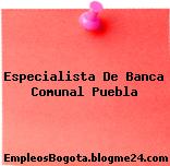 Especialista De Banca Comunal Puebla