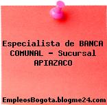 Especialista de BANCA COMUNAL – Sucursal APIAZACO