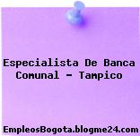 Especialista De Banca Comunal – Tampico
