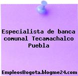 Especialista de banca comunal Tecamachalco Puebla