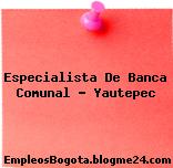 Especialista De Banca Comunal – Yautepec