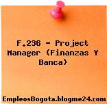 F.236 – Project Manager (Finanzas Y Banca)