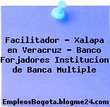 Facilitador – Xalapa en Veracruz – Banco Forjadores Institucion de Banca Multiple