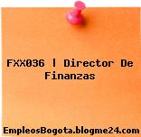 FXX036 | Director De Finanzas