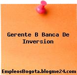 Gerente B Banca De Inversion